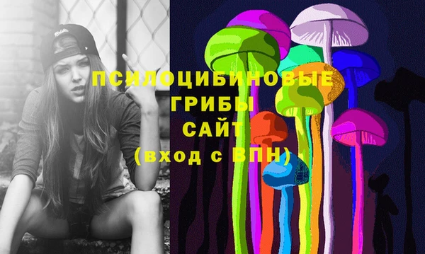 соль ск Лиски